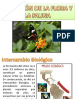 Migracion de La Flora y La Fauna