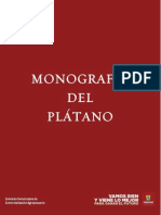 Monografia Plátano2010