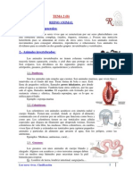 Caracteristicas Generales