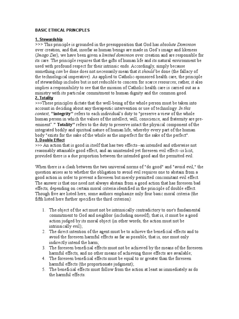 Basic Ethical Principles 1 Stewardship Autonomy Image Of God