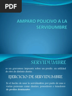 Amparo Policivo a La Servidumbre