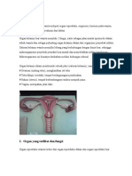 Sistem Reproduksi Wanita Meliputi Organ Reproduksi