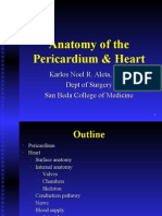Anatomy: Heart and Pericardium