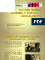 E28 Presentacion 5 Plantas Medicinales y Medioambiente