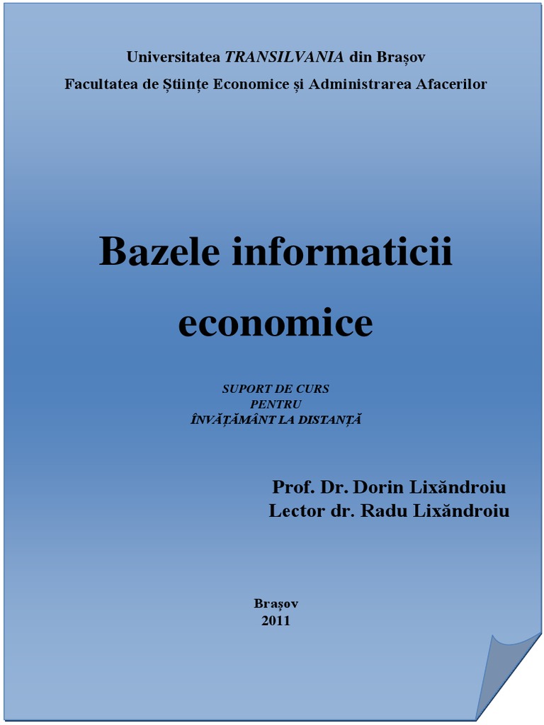 Bazele Informaticii Curs | PDF