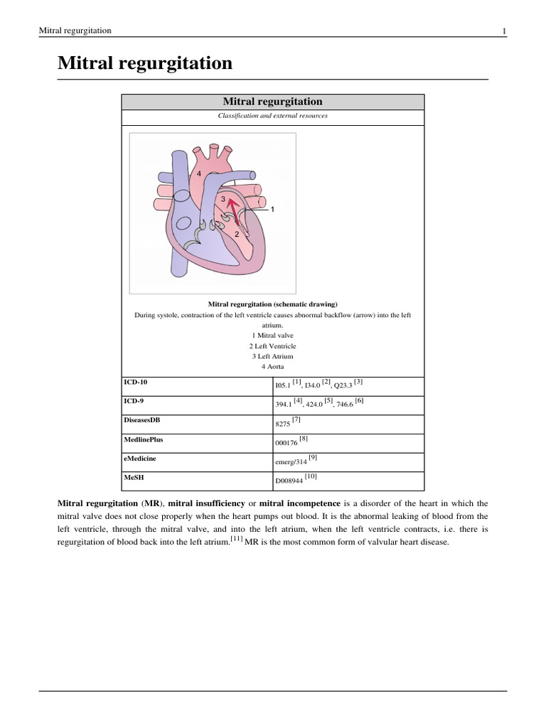 Mitral Regurgitation | PDF | Science & Mathematics
