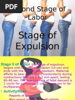 Download Second Stage of Labor by Ana SN20277594 doc pdf