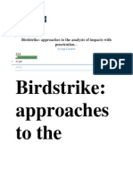 Birdstrike: Approaches To The Analysis of Impacts With Penetration
