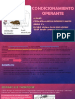 Condicionamiento Operante