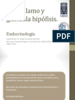 Nueuroanatomia de La Hipofisis