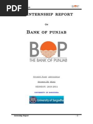 Bank Of Punjab Bookkeeping Cheque