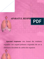 Anatomia Aparatului Respirator