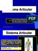 Aparelho Locomotor Sistema Articular