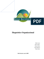 Diagnostico Organizacional Empresa_beta