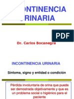 Clase 15. - Incontinencia Urinaria Final2