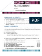 Curriculum Vitae de Pedro Pablo Hernández Cruz con 23 años de edad