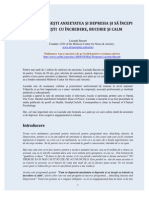 117490317 Cum Sa Depasesti Anxietatea Si Depresia Si Sa Incepi Sa Traiesti Cu Incredere Si Calm Lucinda Bassett