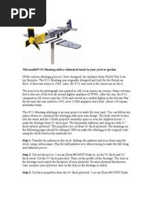p51 whriligig