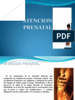 Atencion Prenatal