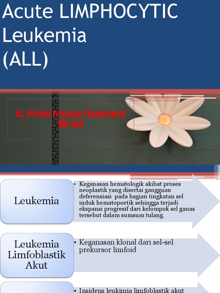Akut Leukemia