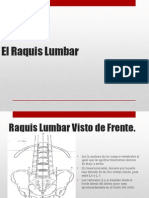 Raquis LUMBAR