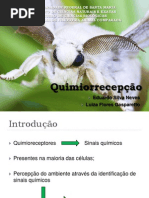 Quimiorrecepção - Luiza e Eduardo