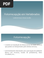 Fotorrecepção em Vertebrados [FINAL]