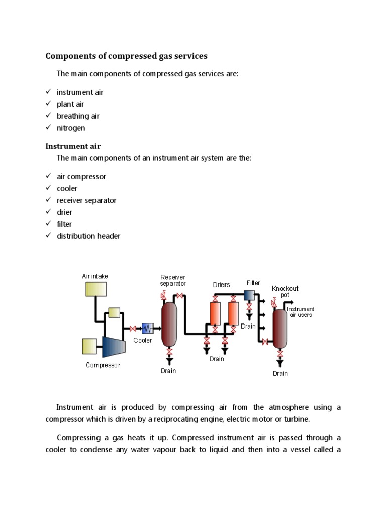 Components of Compressed Gas Services PDF Gas Compressor