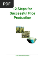 Download 12 Steps Required for Successful Rice Production by IRRI Rice Knowledge Bank SN203080603 doc pdf