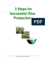 12 Steps Required for Successful Rice Production