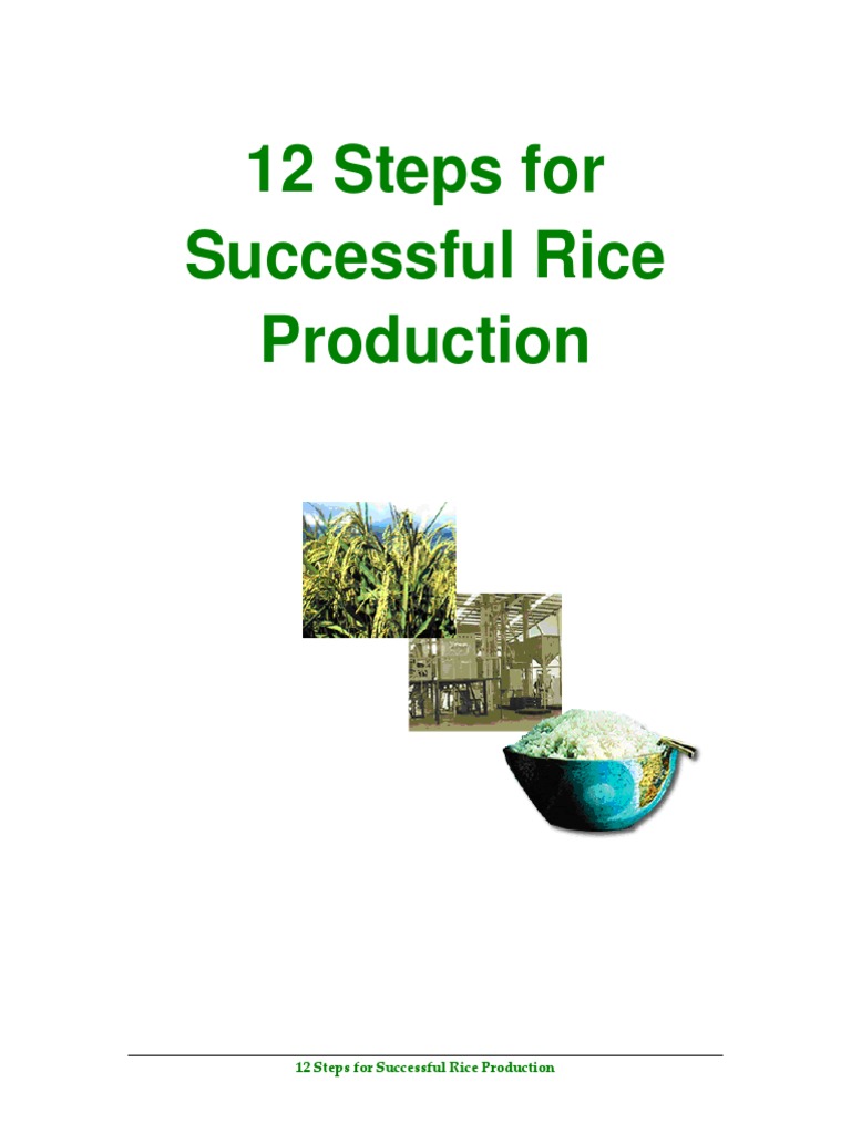 business plan on rice production pdf
