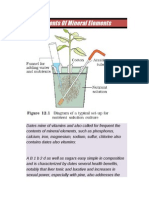 Contents of Mineral Elements