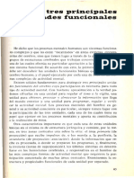 el cerebron en acción.pdf