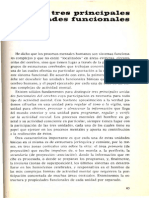 El Cerebron en Acción PDF