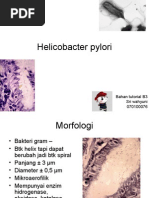 Download Helicobacter Pylori by sri wahyuni SN20316041 doc pdf