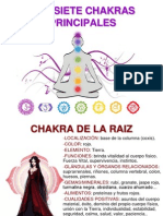 Los Siete Chakras Principales