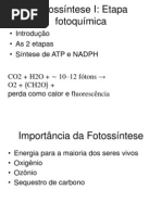 TEORICA 1 Fotossintese Reacoes Luminosas