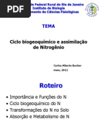 Ciclo N e Metabolismo N