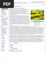 Download About Banana by ismvohra SN20321120 doc pdf