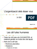 L'organització Dels Ésser Vius