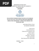 Download Cultivos con Tecnologia Homa by Eco Granja Homa Olmue SN20322001 doc pdf