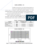 Analiza Rentabilitate - Risc