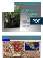 Presentacion Bosque de Agua 20/09/13