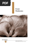 Download Growing Oyster Mushrooms by nakla SN20323890 doc pdf