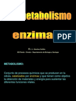 C5_metabolismo