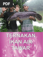 Pembungkusan