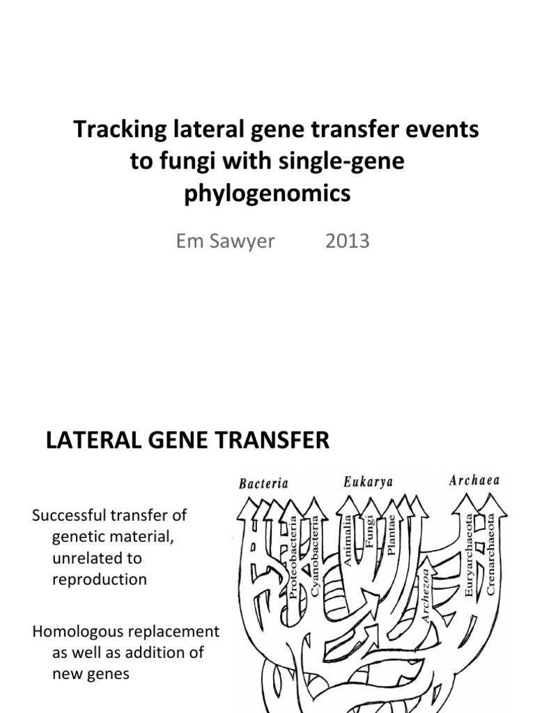 Fungal Gene Transfer Insights | PDF