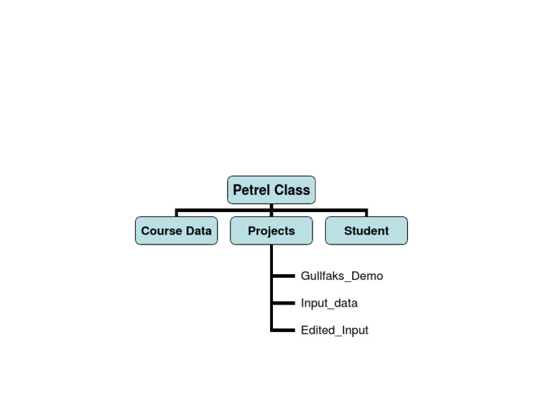 Petrel Class: Course Data Projects Student | PDF
