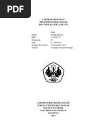 Download Laporan Praktikum Sifat Koligatif Larutan by Ernalia Rosita SN203313261 doc pdf