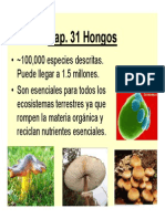 Cap 31 Hongos Ago 2010 - Estudiantes